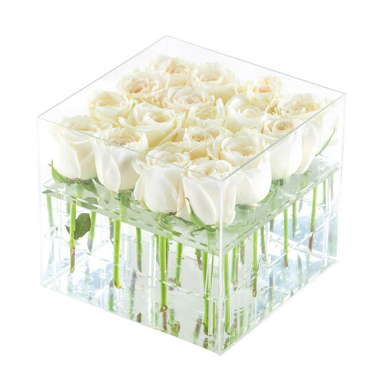 Weisse Rosen